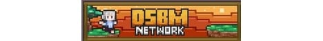 DSBM Network