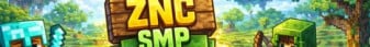 ZNC SMP Server