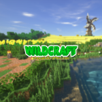 Screenshot from WildCraftMC Minecraft Server