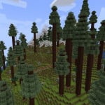 Screenshot from Gardens MC Minecraft Server