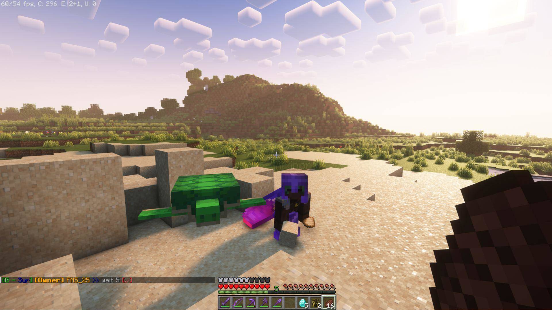 Screenshot from Symbiplex Minecraft Server