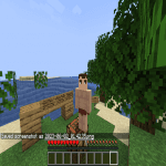 Screenshot from SMP LOL Minecraft Server