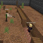 Screenshot from Placeofwar Minecraft Server