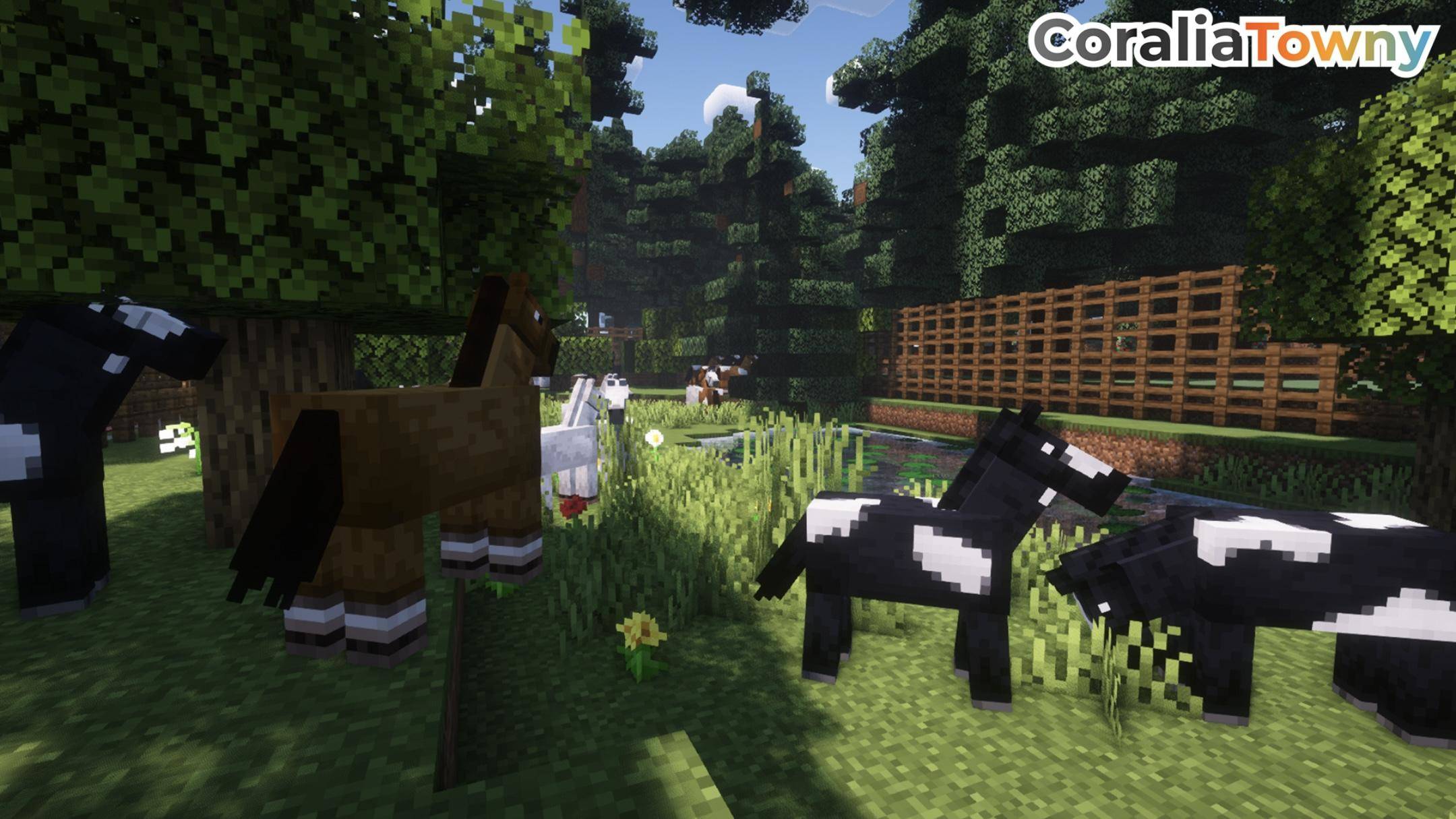 Screenshot from CoraliaMC Minecraft Server
