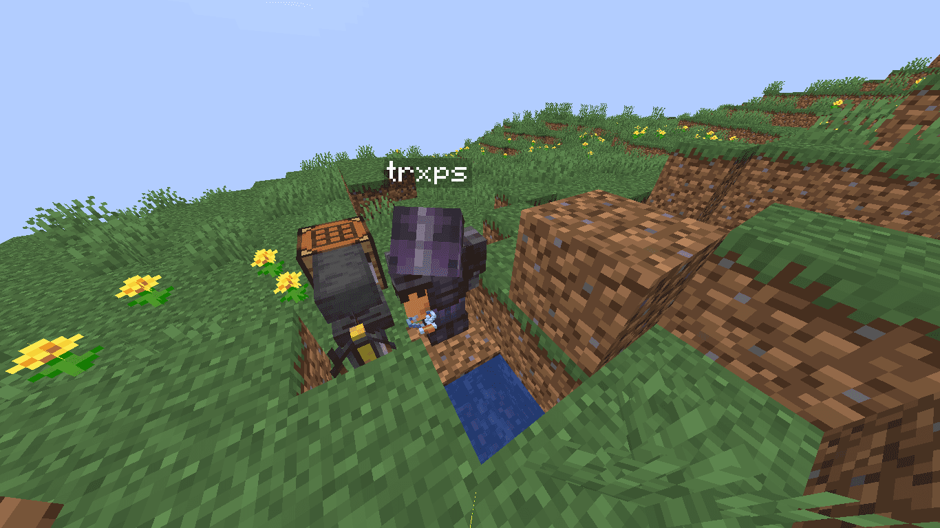 Screenshot from Soul SMP Minecraft Server