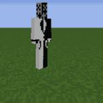 Screenshot from The County SMP Minecraft Server