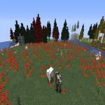 Screenshot from ripMC Minecraft Server