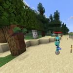 Screenshot from the noodle smp Minecraft Server