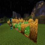 Screenshot from mc.trtl.in Minecraft Server Screenshot from mc.trtl.in Minecraft Server