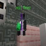 Screenshot from Laqqy SMP Minecraft Server