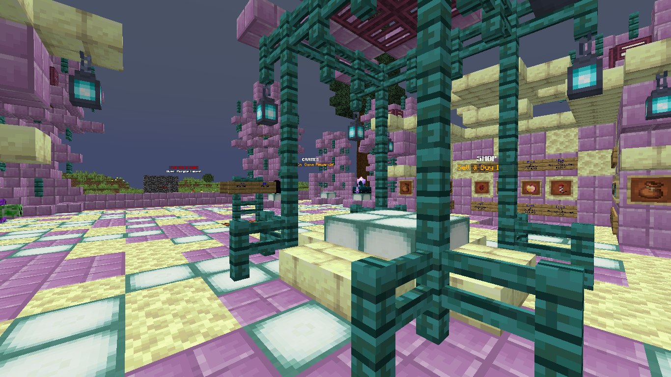 Screenshot from ElytraSMP Minecraft Server Screenshot from ElytraSMP Minecraft Server