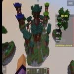 Screenshot from Cracked HypixelBedwars Minecraft Server