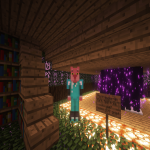 Screenshot from Bora SMP Minecraft Server