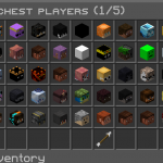 Screenshot from Shinyvale SMP Minecraft Server
