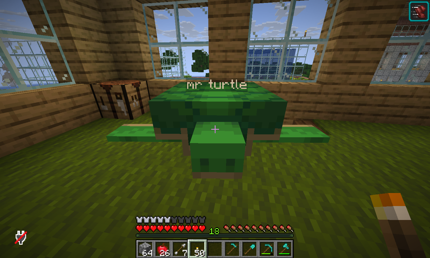 Screenshot from turtlecraft Minecraft Server