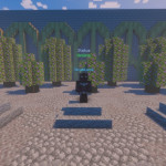 Screenshot from Nyxia Network Minecraft Server
