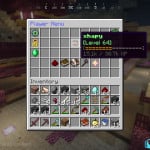 Screenshot from Nircraft Minecraft Server