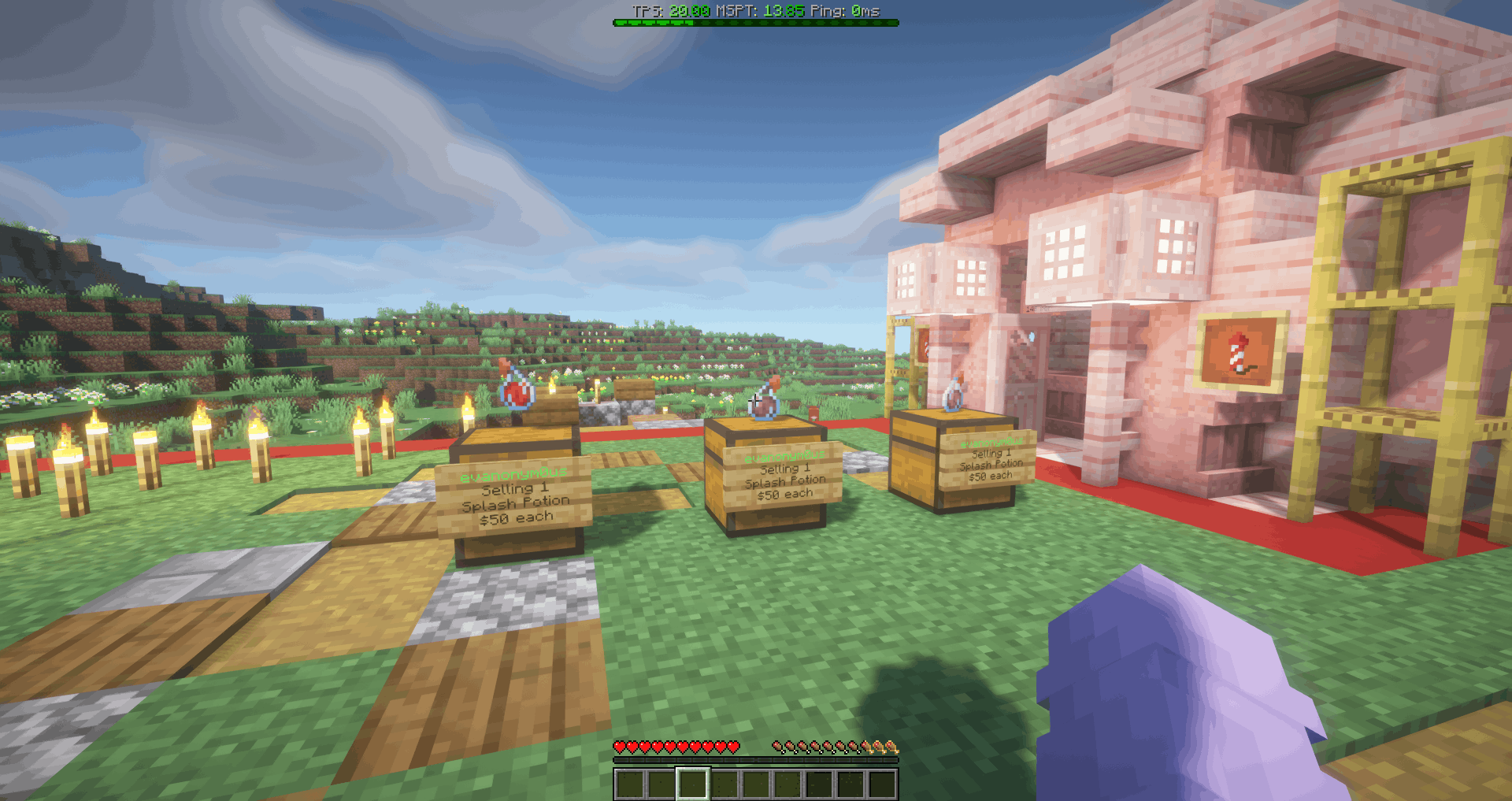 Screenshot from RichSMP Minecraft Server