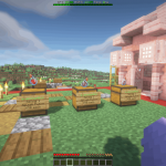 Screenshot from RichSMP Minecraft Server