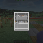 Screenshot from RichSMP Minecraft Server