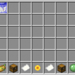 Screenshot from RichSMP Minecraft Server
