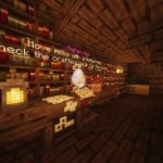 Screenshot from The Sirvivalists Minecraft Server