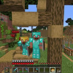 Screenshot from Negus Smp Minecraft Server