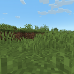 Screenshot from ANARCRAFT SMP Minecraft Server