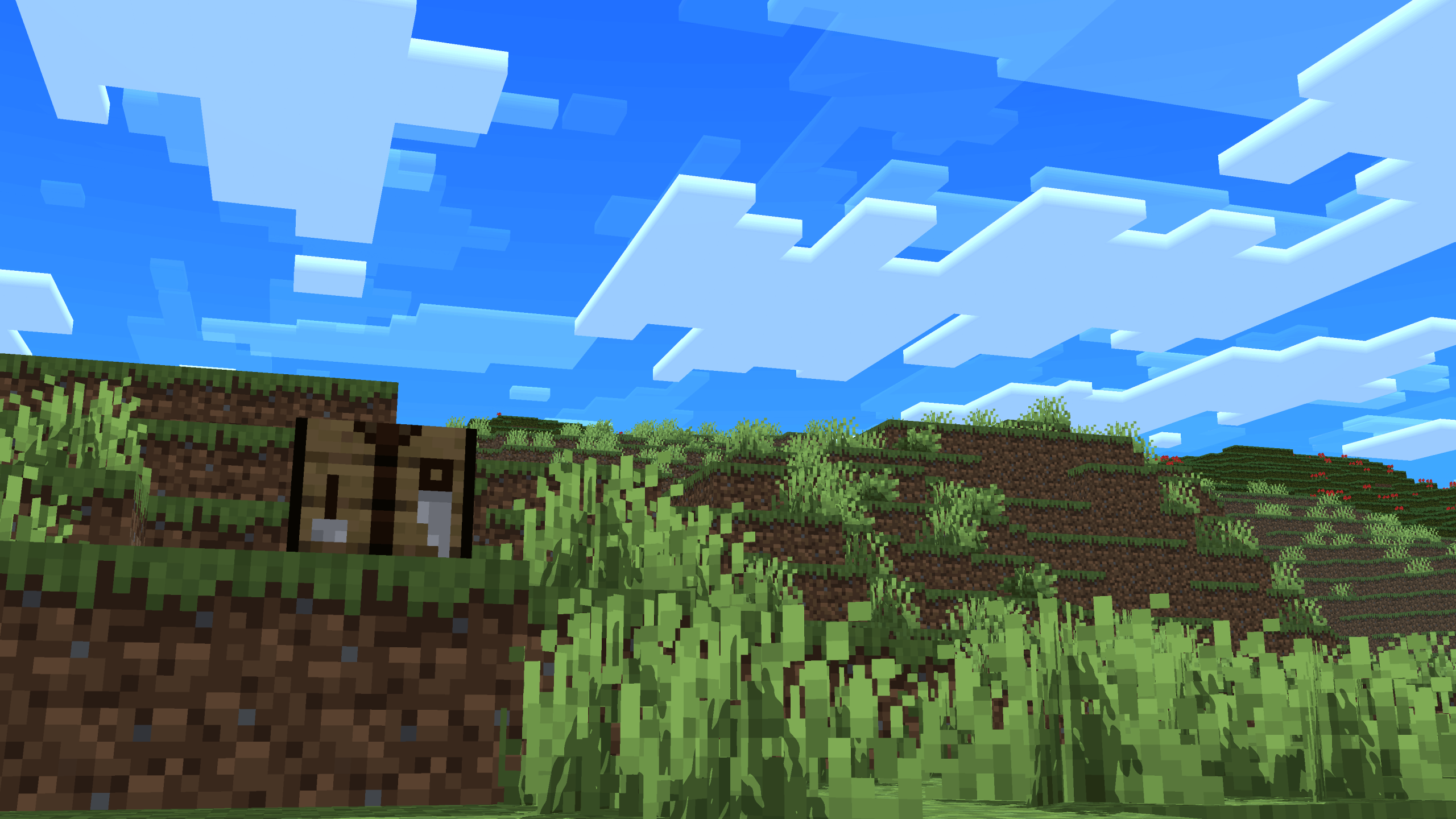 Screenshot from Wander SMP Minecraft Server