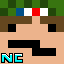 Minecraft Server icon for Newtcraft