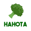 Minecraft Server icon for Hahota