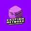 Minecraft Server icon for Caspian Network
