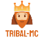 Minecraft Server icon for Tribal-MC