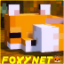 Minecraft Server icon for FoxyNetwork