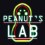 Minecraft Server icon for Peanuts Lab Minecraft Server