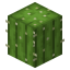 Minecraft Server icon for CactusMC SMP