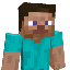 Minecraft Server icon for IndicaSMP