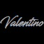 Minecraft Server icon for Valentino SMP
