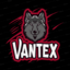 Minecraft Server icon for Vantex Network