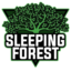 Minecraft Server icon for Sleeping Forest