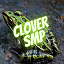 Minecraft Server icon for Clover SMP 1.18 generation 1.17.1 survival