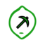 Minecraft Server icon for Lime MC