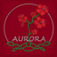 Minecraft Server icon for Aurora