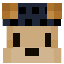 Minecraft Server icon for Plateou SMP