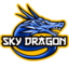Minecraft Server icon for SkyDragon