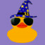 Minecraft Server icon for Lucky Rubbery Duck SMP