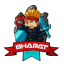 Minecraft Server icon for PlayBharat Network