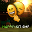 Minecraft Server icon for HAPPYNOT SMP