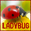 Minecraft Server icon for Ladybug Minecraft