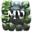 Minecraft Server icon for MagicVoxels